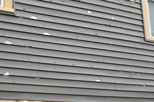 Siding for New Construction